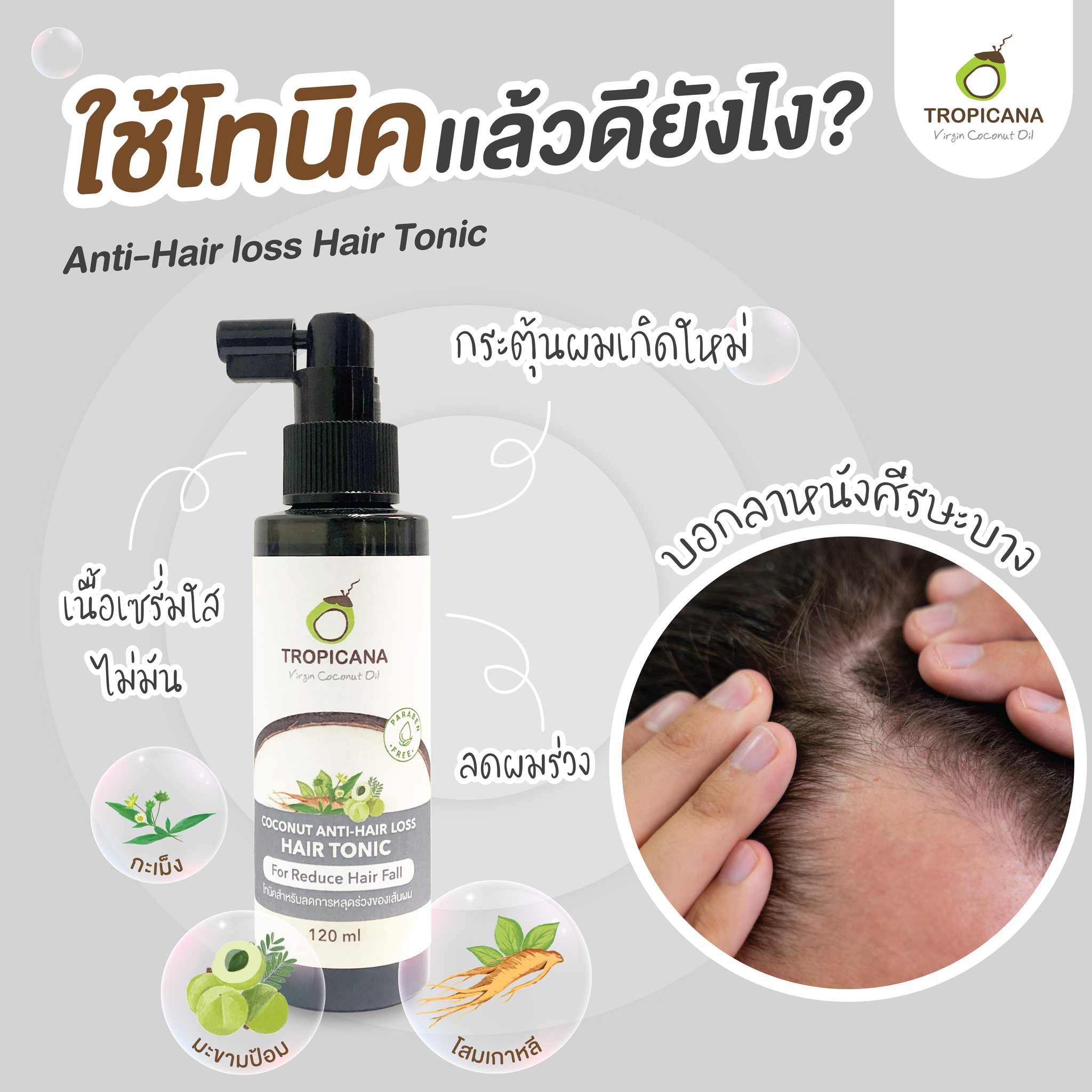 Tropicana Coconut Anti-Hairloss Tonic แฮร์ โทนิค สำหรับลดการหลุดร่วง ขนาด 120 ml. ทรอปิคานา