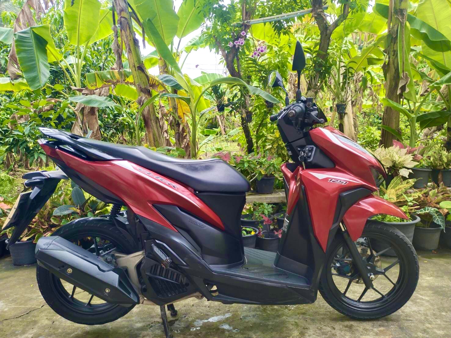 Honda Click 125 cc ให้เช่า วันละ 250 บาท รถอยู่หาดแม่รำพึง ระยอง Motorcycle for rent at Mae Rumphueng Beach Rayong 250 baht per day