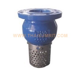 ฟุตวาวล์ เหล็กหล่อ วาล์วหัวกะโหลก ( Foot Valve 10K )