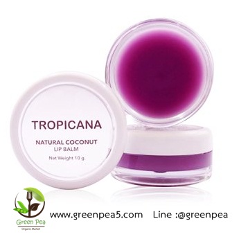 NATURAL COCONUT LIP BALM 10 G.NON-PARABEN ลิปบาล์มน้ำมันมะพร้าว Tropicana