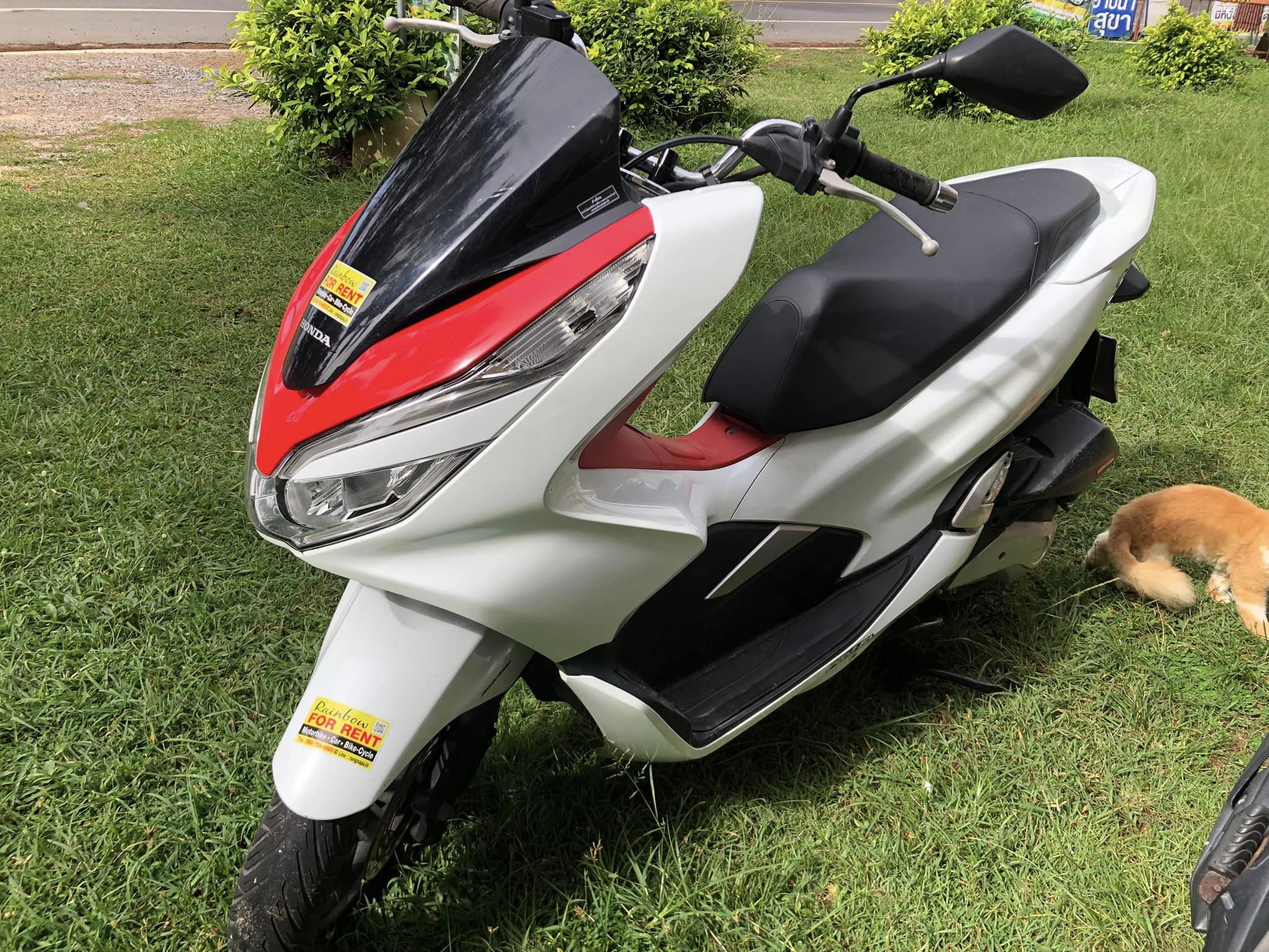 มอเตอร์ไซด์ PCX-150ccให้เช่าคะวันละ 350 บาท PCX for Rent 350 Baht per Day