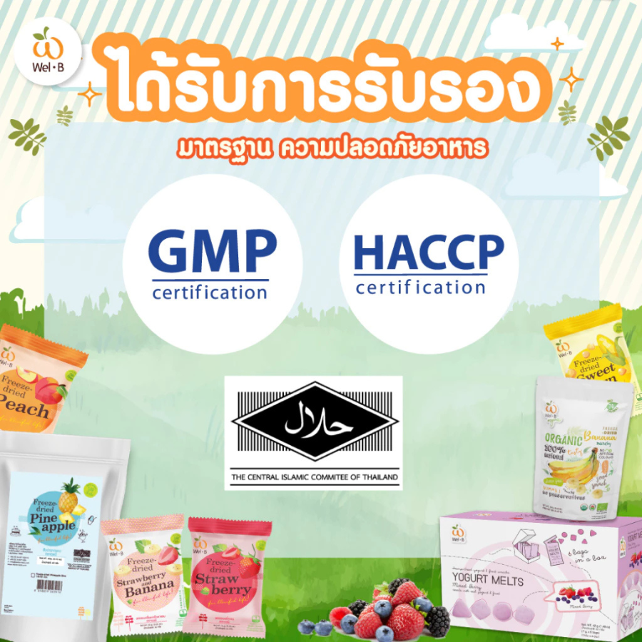 Wel-B Yogurt Melts Mixed Berry ขนาด 25 กรัม โยเกิร์ตกรอบ มิกซ์เบอร์รี่ ฟรีซดราย หอม กรอบ หยิบง่าย เวลบี