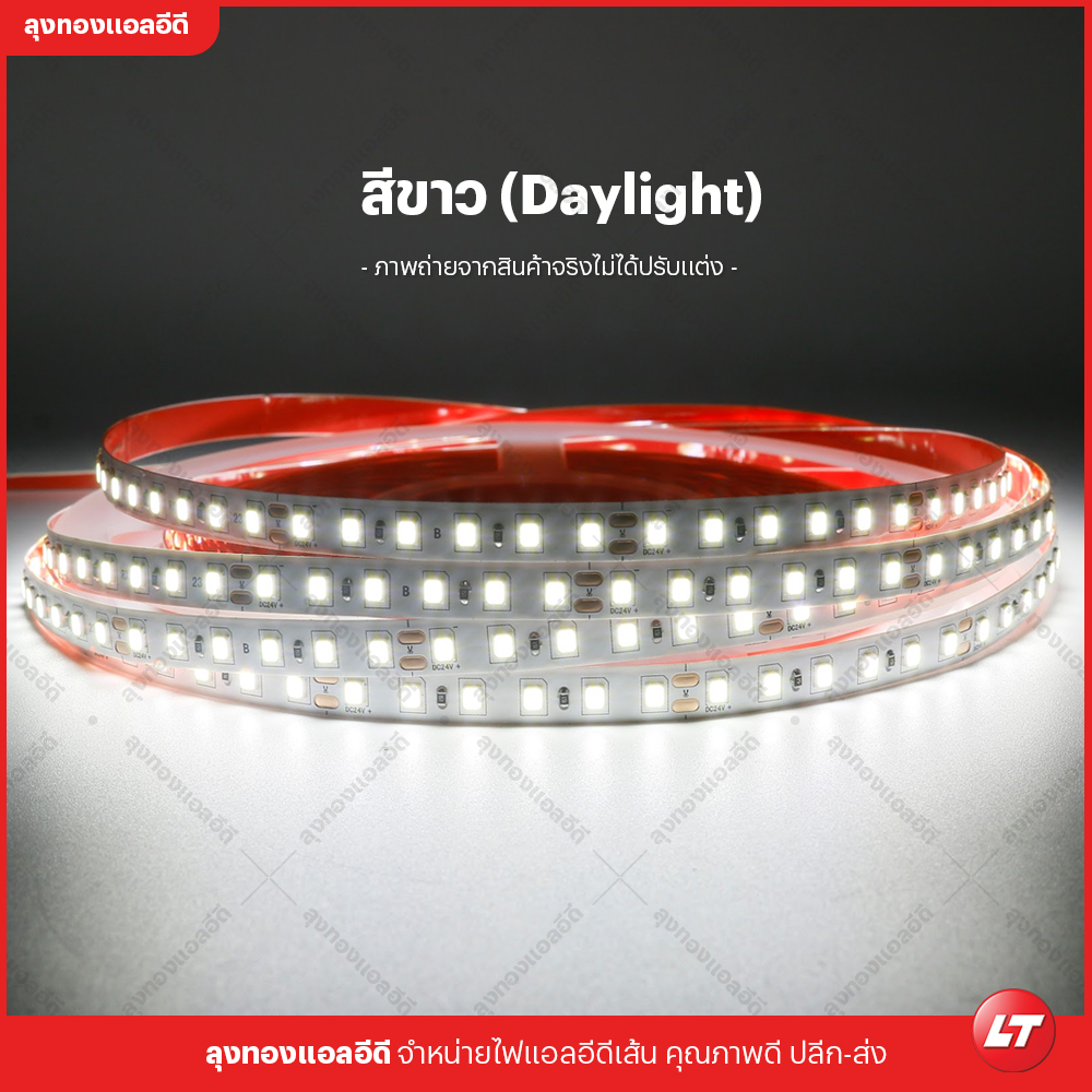 ไฟเส้น led Navigate M80 รุ่นประหยัด smd2835 24v 8w 120 led ยาวม้วนละ 10 เมตร แสงไม่หรี่ปลาย