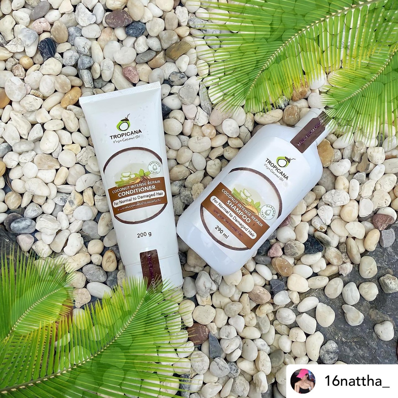 Tropicana ครีมนวด สูตร ฟื้นบำรุง ผมแห้งเสีย 200 ml. CONDITIONER FOR DAMAGED HAIR