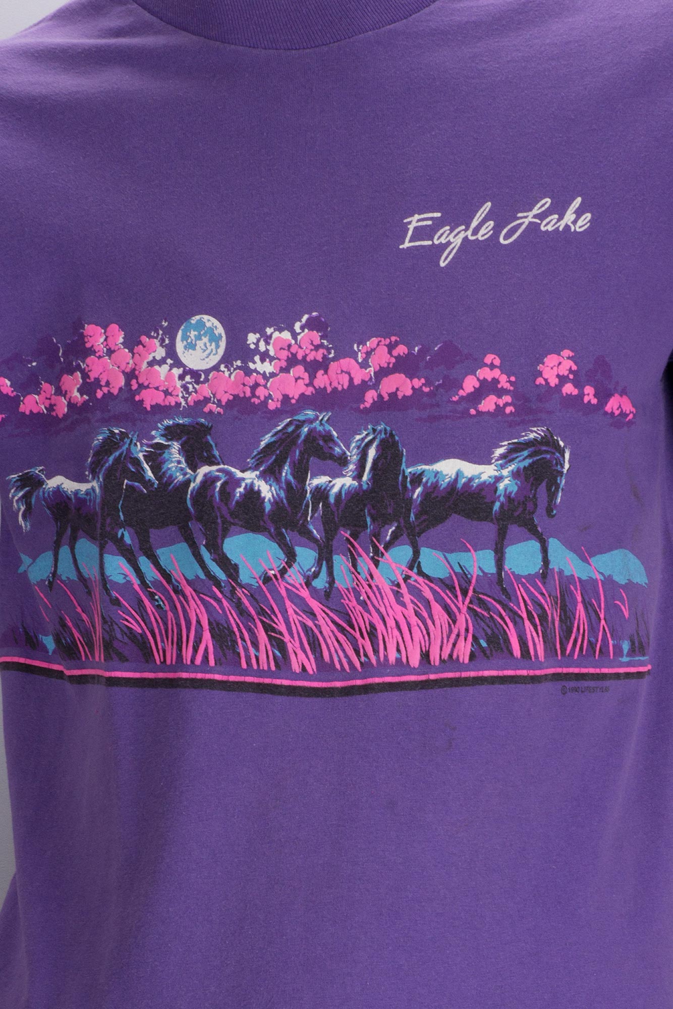 เสื้อยืดมือสองวินเทจ EAGLE LAKE ลายม้าป่า ปี 1990 สกรีนนูน ป้ายตัด มีรอยเลอะด้านหน้า สภาพตามอายุ 28 ปี