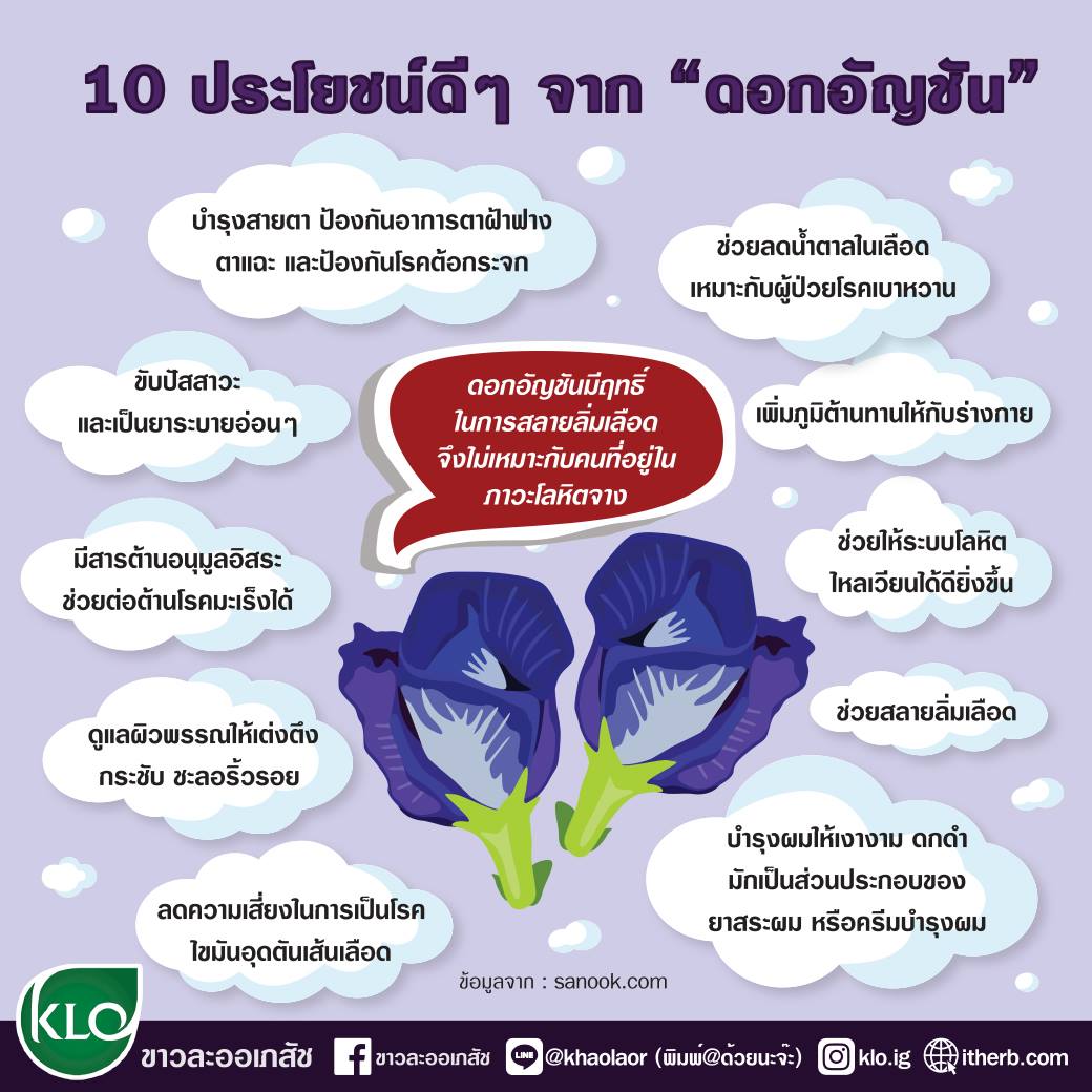 ดอกอัญชันอบแห้ง 100กรัม ออร์แกนิค ตรา ทุ่งสุวรรณ Dried butterfly pea flower
