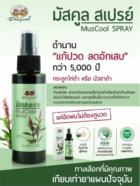 MusCool Spray มัสคูลสเปรย์ ขนาดบรรจุ 60 ml. บรรเทาอาการปวดกล้ามเนื้อ หรือบวม