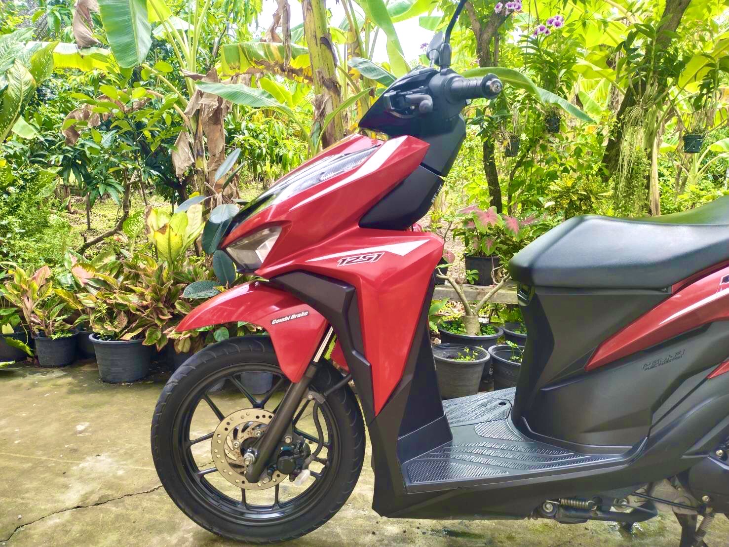 Honda Click 125 cc ให้เช่า วันละ 250 บาท รถอยู่หาดแม่รำพึง ระยอง Motorcycle for rent at Mae Rumphueng Beach Rayong 250 baht per day