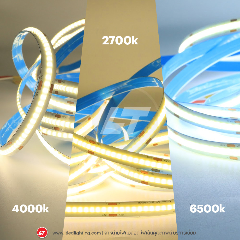 MAXZO COB01 (XT-COB-320-12) ไฟเส้นแบบ COB รุ่นใหม่ สว่างเม็ดถี่กินไฟต่ำ (ขาว/วอร์ม/4,000k)