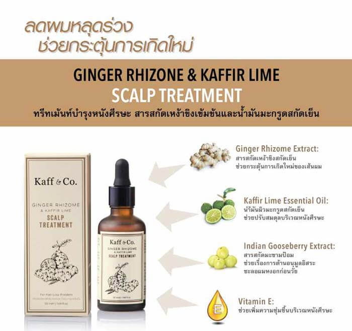 Kaff&Co. แชมพูขิงผสมน้ำมันมะกรูด 300ml.จากสารสกัดเหง้าขิงและน้ำมันมะกรูดสกัดเย็น สำหรับผมร่วง หนังศีรษะมัน