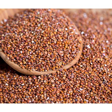 (ขายส่ง) ควินัวแดง Organic Red Quinoa 2 ขนาด greenpea