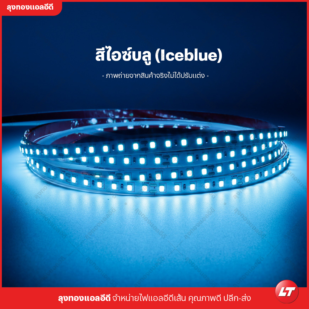 ไฟเส้น led Navigate M80 รุ่นประหยัด smd2835 24v 8w 120 led ยาวม้วนละ 10 เมตร แสงไม่หรี่ปลาย