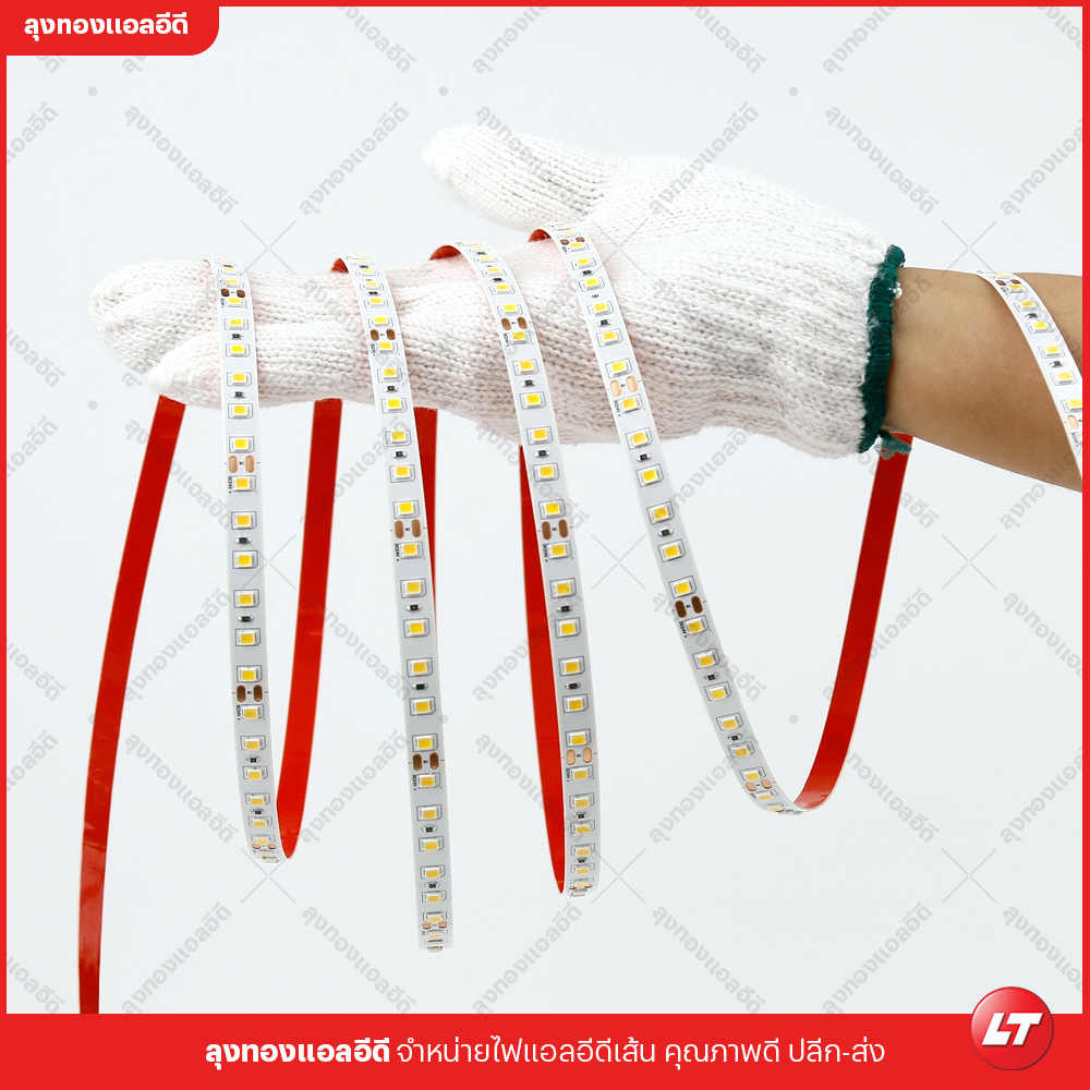 ไฟเส้น led Navigate M80 รุ่นประหยัด smd2835 24v 8w 120 led ยาวม้วนละ 10 เมตร แสงไม่หรี่ปลาย
