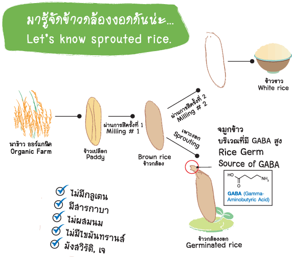 Organic Baby meal Sprouted 6 Month+ Xongdur