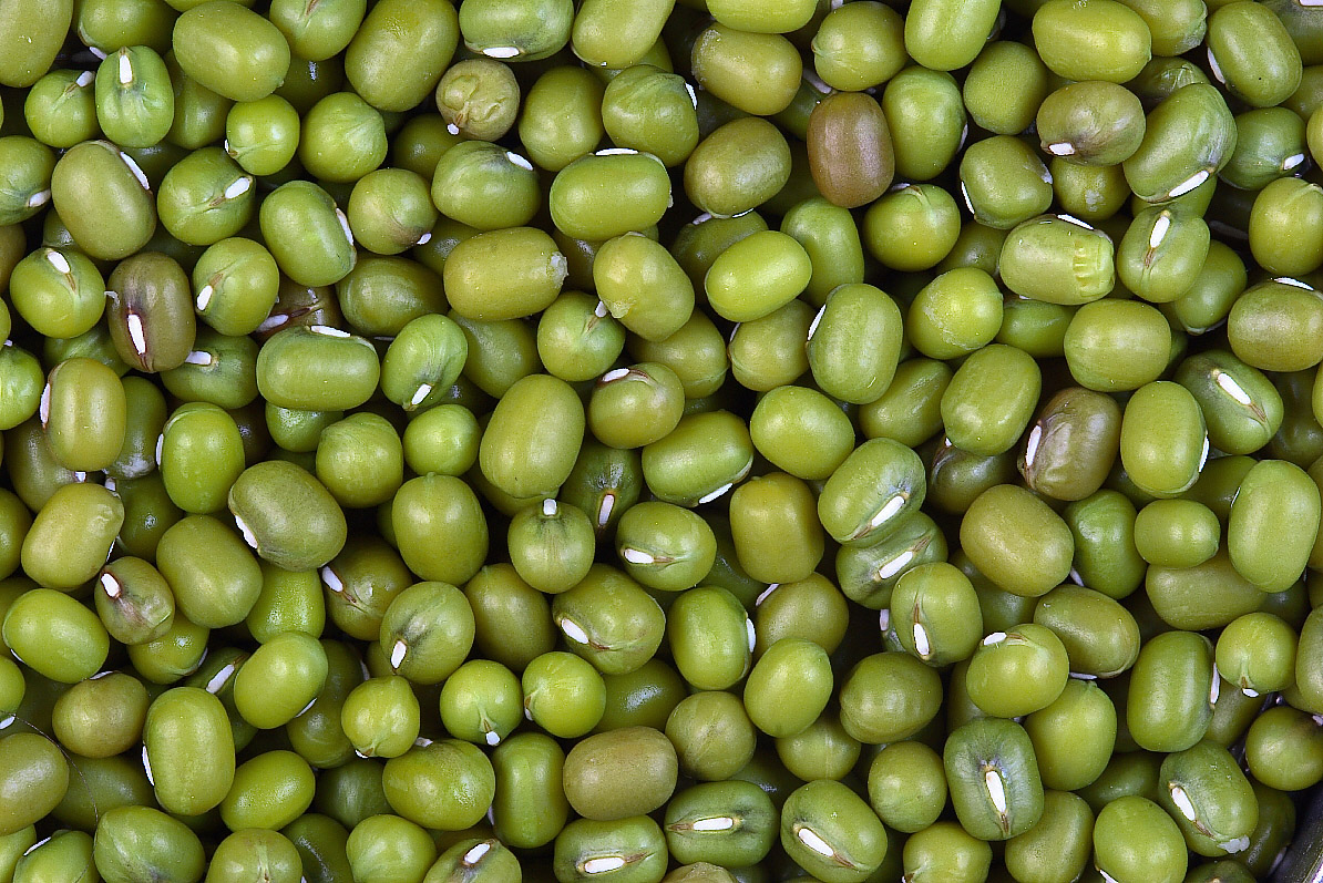 (ขายส่ง) ถั่วเขียวเม็ด Mung bean 2 ขนาด greenpea