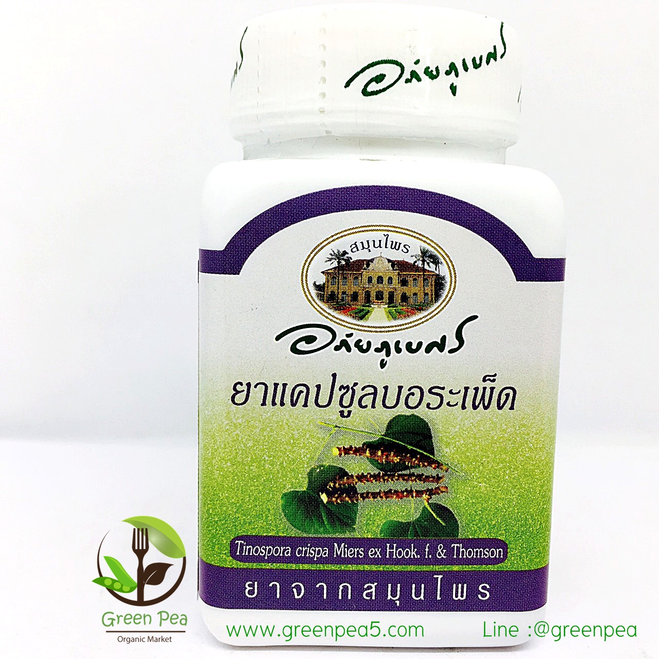 อภัยภูเบศร แคปซูลบอระเพ็ด รักษาเบาหวาน,แก้ไข้,ร้อนใน