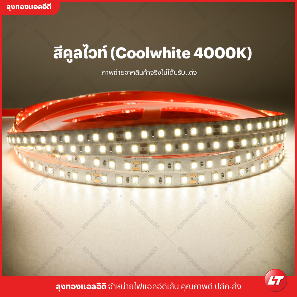 ไฟเส้น led Navigate M80 รุ่นประหยัด smd2835 24v 8w 120 led ยาวม้วนละ 10 เมตร แสงไม่หรี่ปลาย