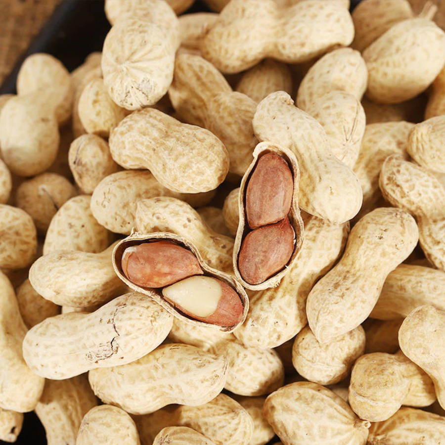 Greenpea Peanuts Roasted with Orange peel ขนาด 200-600 กรัม ถั่วลิสง อบเปลือกส้ม ปลูกแบบอินทรีย์ ใช้วิธีการอบ กลิ่นหอม Organic กรีนพี