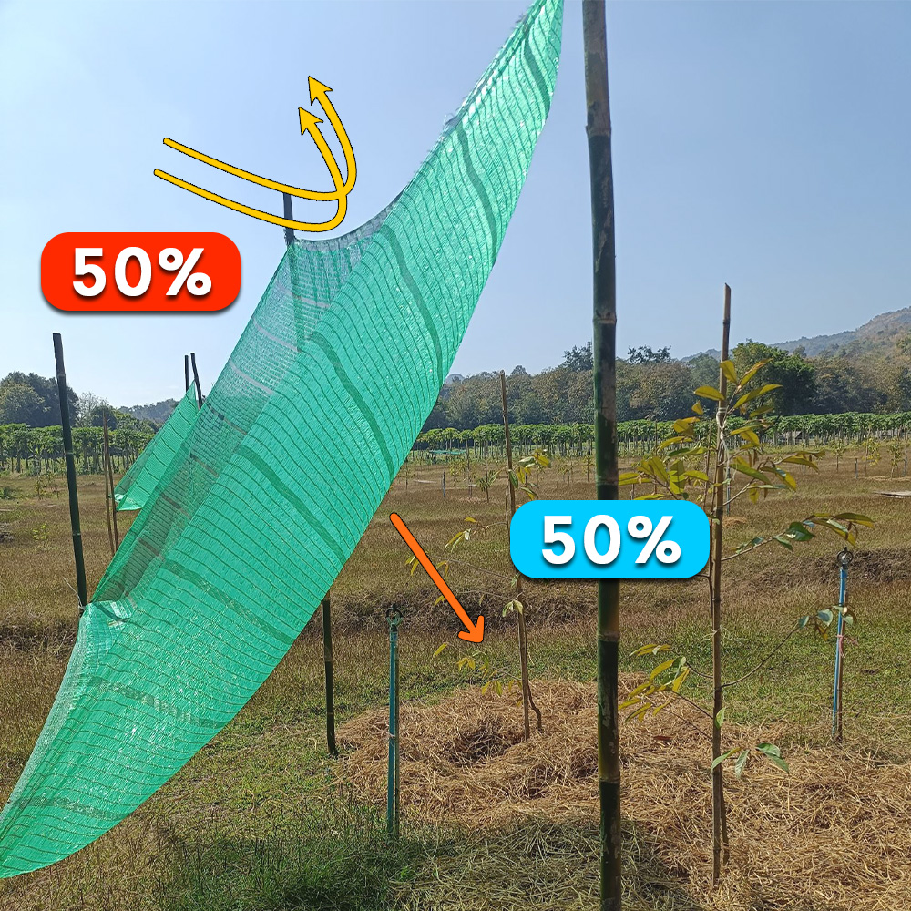 สแลนกันแดด ตาข่ายกรองแสง สีเขียว 50% ตรานกนางแอ่น