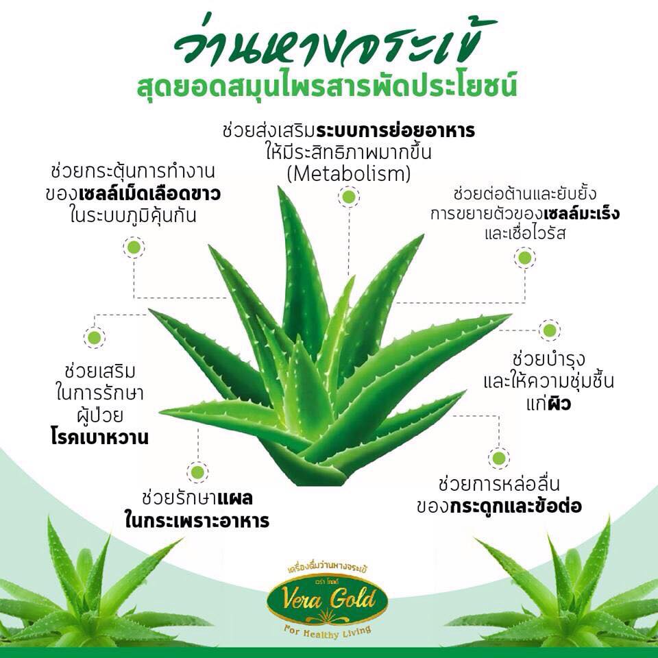 VERA GOLD ALOE VERA DRINK เวร่า โกลด์ เครื่องดื่ม ขนาด 300 ml. น้ำว่านหางจระเข้ อร่อยกับเนื้อ ว่านหางจระเข้ ไม่เจือสีสังเคราะห์ เจ ทานได้