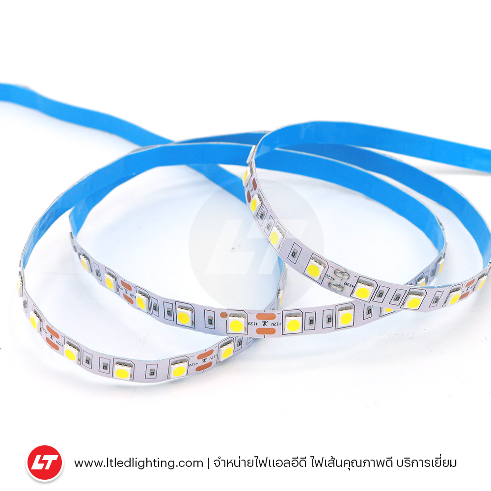 ZACCO ZMV06 12v-24v (MT-5050-60) ไฟเส้น LED Strip รุ่นประหยัดใช้งานได้หลากหลาย (มีหลายสี กันน้ำ/ไม่กันน้ำ)