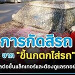 รู้ไหม? ขี้นก ทำร้ายสีรถคุณ ต้องรีบกำจัดออก