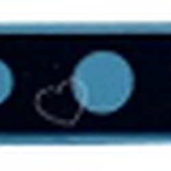 เลนส์ครอบกล้อง Sam A70