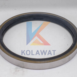 ซิลล้อ หลังใน ZM