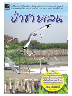 ป่าชายเลน