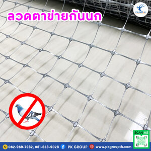 การใช้ลวดตาข่ายกันนกในพื้นที่ชุมชน ทางเลือกที่ปลอดภัยและยั่งยืน