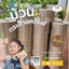 ม้วนกระดาษคาร์ฟ เคลือบ PE ด้านใน สำหรับเครื่องแพ็คอัตโนมัติ