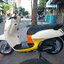 Scoopy led มีขาวเหลือง 2021