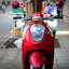 (( ขายแล้วครับ )) scoopy i สีแดง ขอบคุณน้องกีน ที่มาอุดหนุนครับ