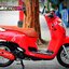 (( ขายแล้วครับ )) Scoopy i Club12 ขอบคุณน้องนัน ที่มาอุดหนุนครับ