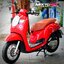 (( ขายแล้วครับ )) Scoopy i Club12 ขอบคุณน้องนัน ที่มาอุดหนุนครับ