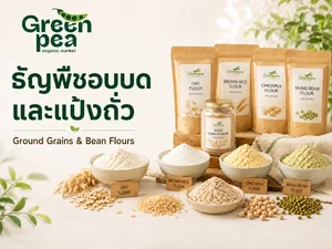 ธัญพืชอบบด/แป้งถั่ว