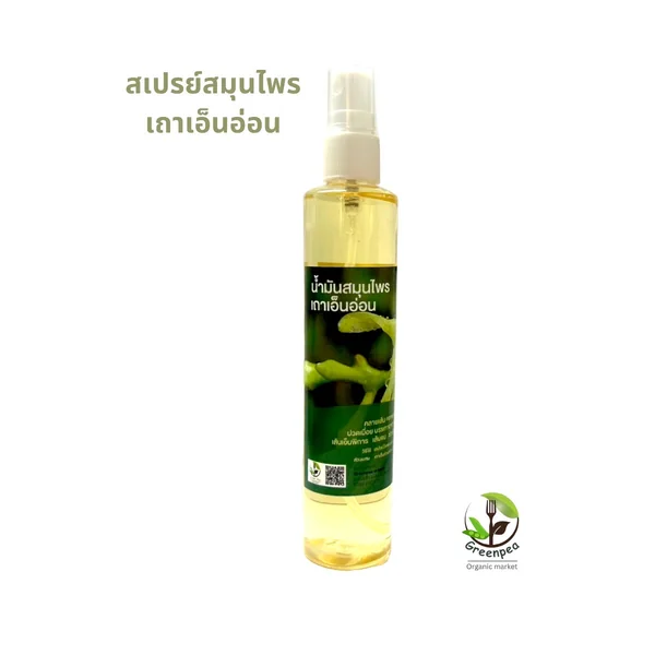 สเปรย์น้ำมัน เถาเอ็นอ่อน 100 ml. คลายกล้ามเนื้อ สำหรับนวด คลายเส้น ปวดเมื่อย คอเคล็ด Greenpea image 1 สเปรย์น้ำมัน เถาเอ็นอ่อน 100 ml. คลายกล้ามเนื้อ สำหรับนวด คลายเส้น ปวดเมื่อย คอเคล็ด Greenpea image 1